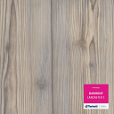 Линолеум Tarkett Harmony LANCASTER 1  | FLOORDEALER